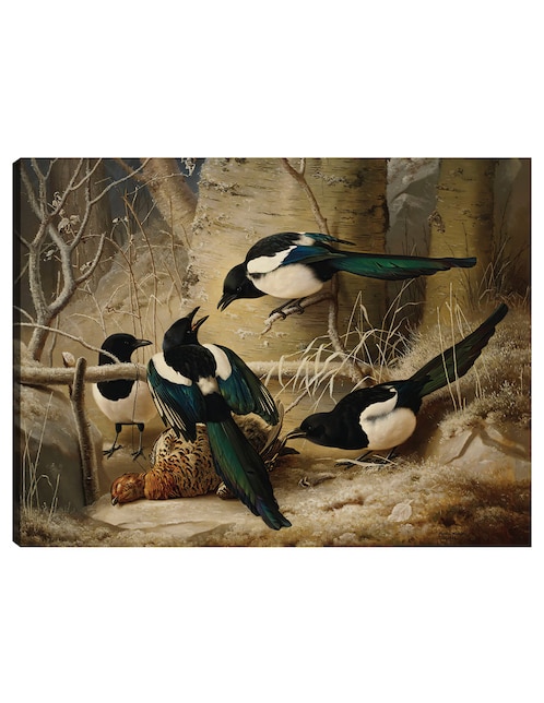 Cuadro decorativo Urracas alrededor de un urogallo hembra muerta (1867) técnica mixta Cuadros Jr Aves Silvestres
