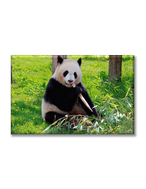 Cuadro decorativo Industria Gráfica Ciento 23 Oso Panda Alimentándose