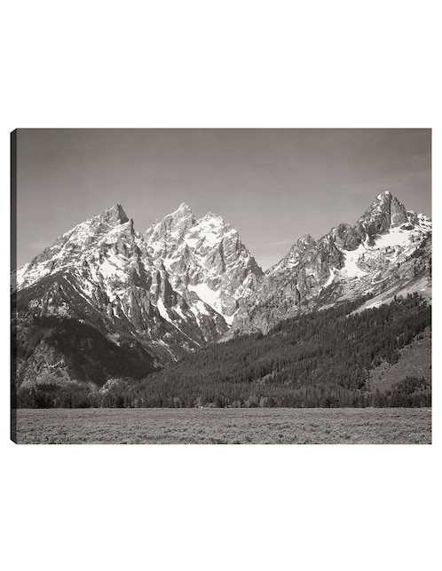 Cuadro decorativo Parque Nacional Teton, Wyoming técnica mixta Inspiración 1