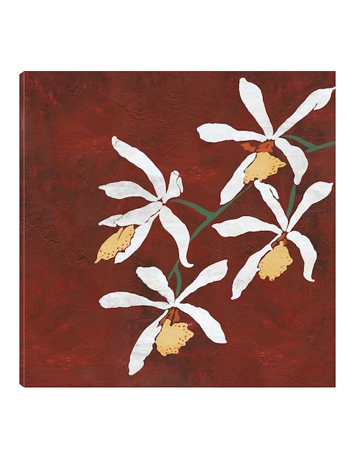 Cuadro decorativo Floral roja técnica mixta Cuadros Jr Floración