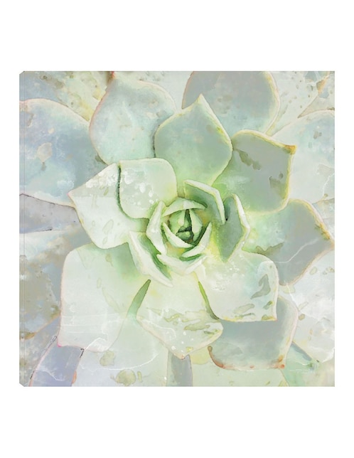 Cuadro decorativo Belleza de las suculentas técnica mixta Floración 1
