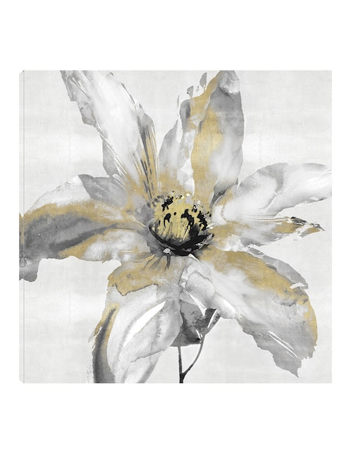 Cuadro decorativo Flor de corazón de oro técnica mixta Cuadros Jr Floración