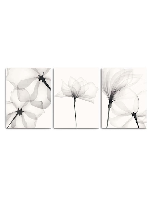 Cuadro decorativo Canvas Art set de acuarela blanco negro flores con barniz a registro