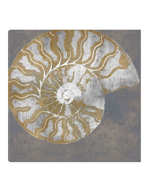 Cuadro decorativo Nautilo I técnica mixta Animales Marinos 1