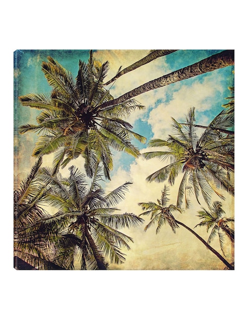Cuadro decorativo Palmas de Islas Kauai técnica mixta Palmas 1