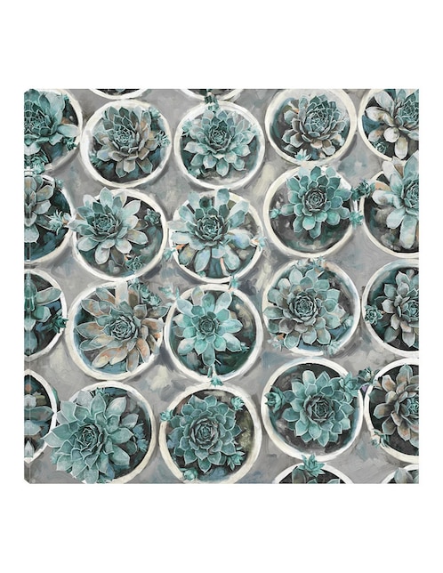Cuadro decorativo Selecciones de suculentas técnica mixta Floración 1