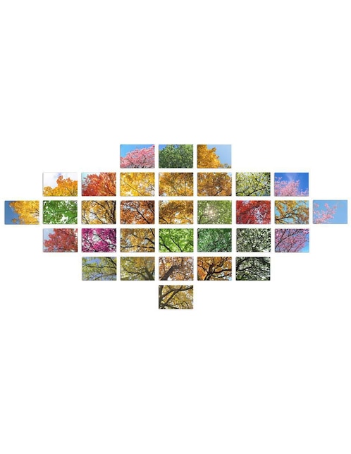 Cuadro decorativo Canvas Art árbol corpulento y frondoso con barniz a registro