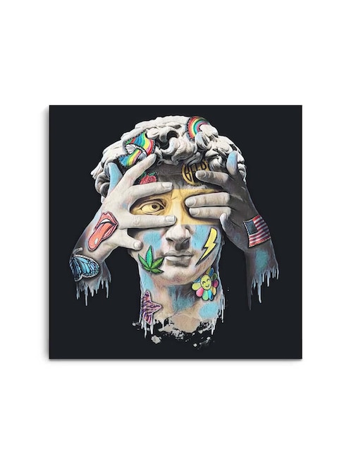 Cuadro decorativo canvas art david pop art con barniz a registro