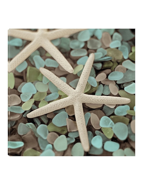 Cuadro decorativo Acuático 1 técnica mixta Cuadros Jr Criaturas Marinas