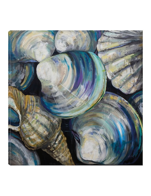 Cuadro decorativo Conchas del Key West técnica mixta Cuadros Jr Animales Marinos