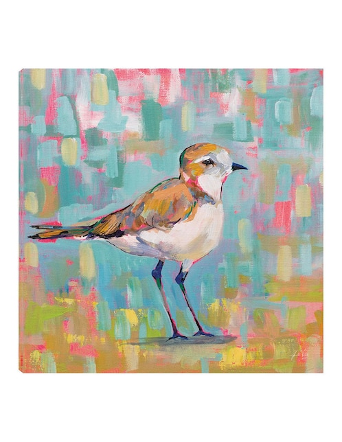 Cuadro decorativo Chorlito Costero III técnica mixta Cuadros Jr Aves Silvestres