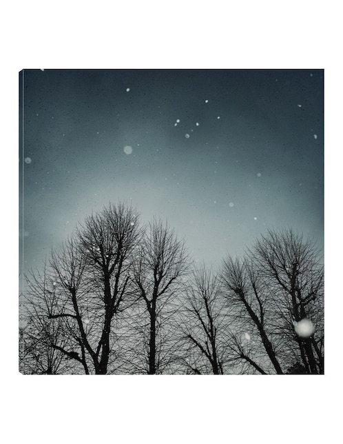 Cuadro decorativo Cielo de invierno técnica mixta Bosques 1