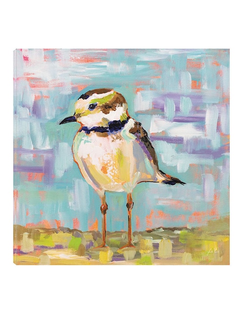 Cuadro decorativo Chorlito Costero II técnica mixta Aves Silvestres 1