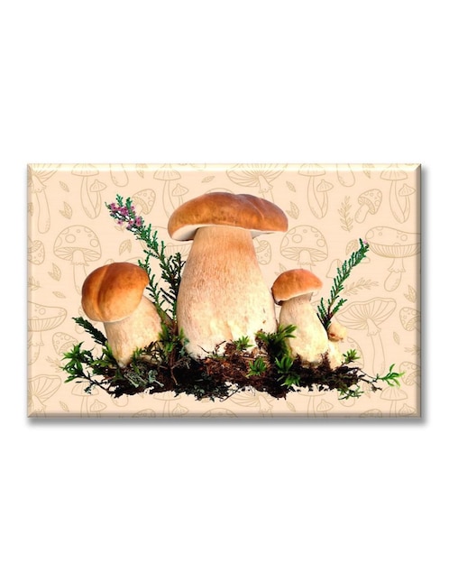 Cuadro decorativo Industria Grafica Ciento 23 hongos del bosque