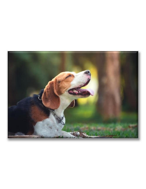 Cuadro decorativo Industria Grafica Ciento 23 Beagle feliz