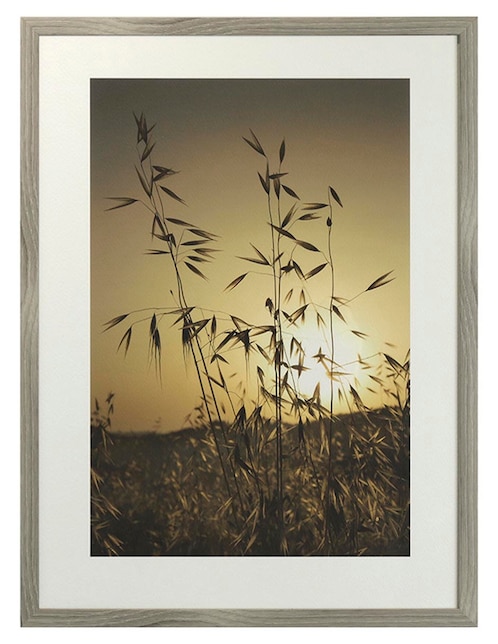 Fotografía Tuscan Fields 1