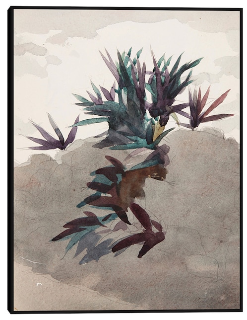 Cuadro decorativo Ladera con macizos de maguey (1898-1899) técnica mixta Formas 1