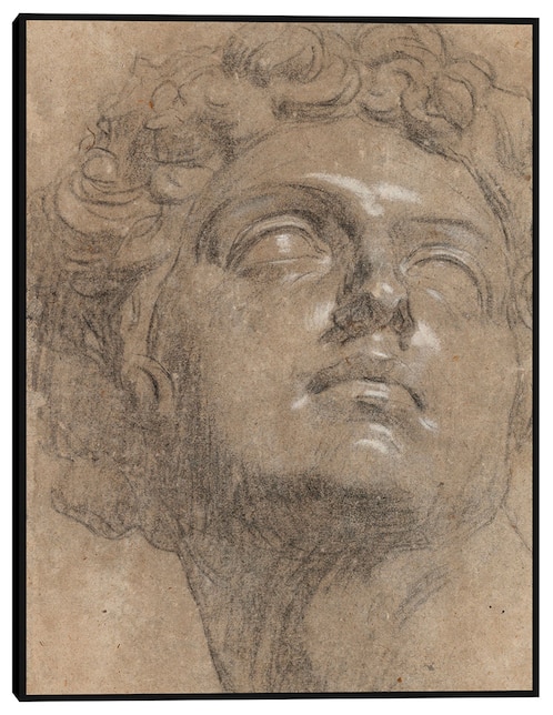 Cuadro decorativo Cabeza de Giuliano de Medici (década de 1540) técnica mixta Cuadros Jr
