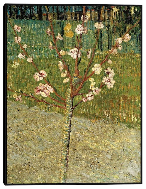 Cuadro decorativo Almendro en flor técnica mixta Cuadros Jr Floración