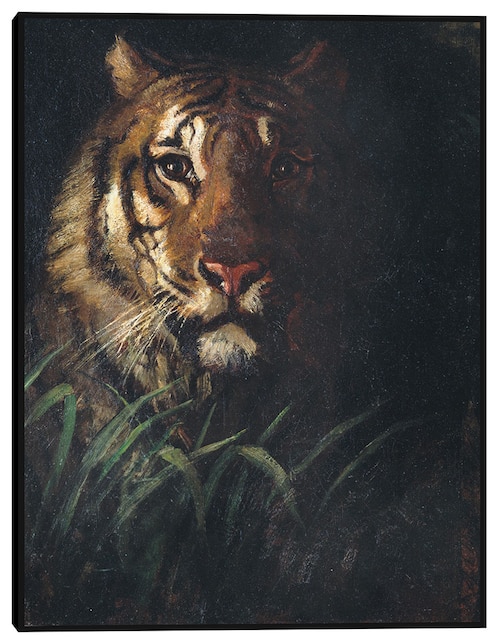 Cuadro decorativo Cabeza de tigre (hacia 1874) técnica mixta Vida Silvestre 1