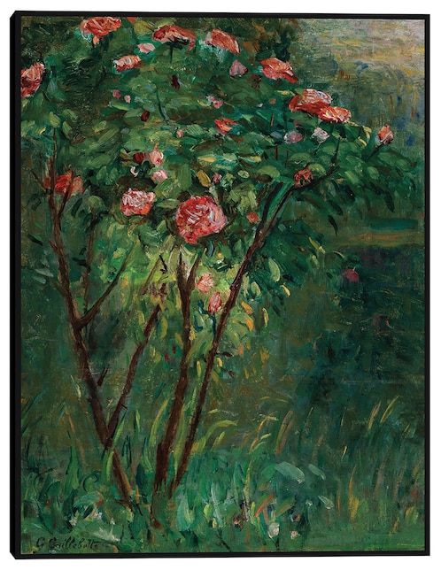 Cuadro decorativo El rosal en flor (c 1884-1885) técnica mixta Primavera 1