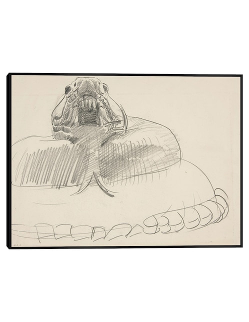 Cuadro decorativo Serpiente de cascabel técnica mixta Bocetos 1
