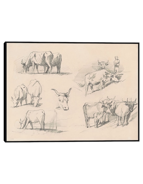 Cuadro decorativo Estudios de ganado (c. 1872) técnica mixta Bocetos 1