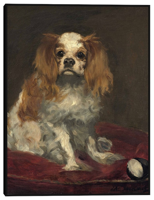 Cuadro decorativo Un rey charles spaniel técnica mixta Animales Domésticos 1