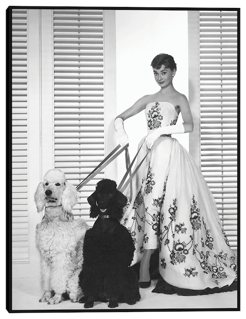 Cuadro decorativo Audrey Hepburn en Sabrina (1954) técnica mixta Cuadros Jr Retratos