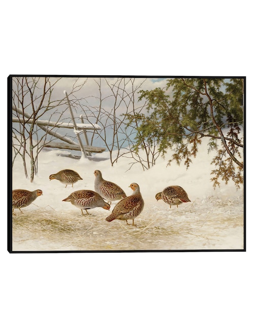 Cuadro decorativo Urracas Alrededor De Un Urogallo Hembra Muerta (1867) técnica mixta Cuadros Jr Caminos