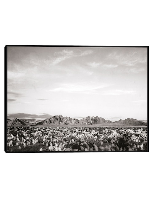 Cuadro decorativo Cerca del Monumento Nacional del Valle de la Muerte, California técnica mixta Campos 1