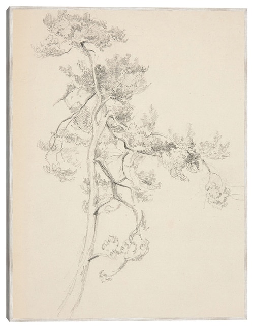Cuadro decorativo Árbol Y Follaje técnica mixta Cuadros Jr Bocetos