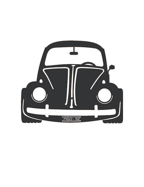 Cuadro decorativo Pigo vocho