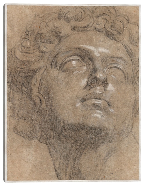 Cuadro decorativo Cabeza de Giuliano de Medici (Década de 1540) técnica mixta Arte 1