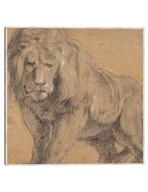 Cuadro decorativo León (C. 1612-1613) técnica mixta Bocetos 1