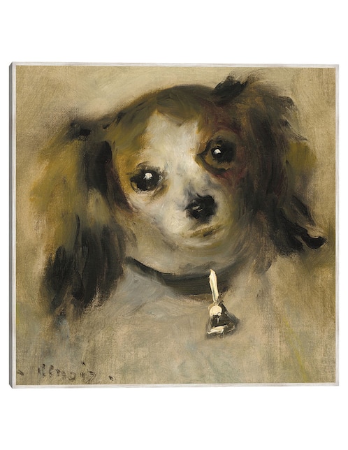 Cuadro decorativo Cabeza De Perro técnica mixta Cuadros Jr Animales Domésticos