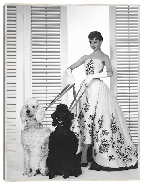 Cuadro decorativo Audrey Hepburn En Sabrina (1954) técnica mixta Retratos 1