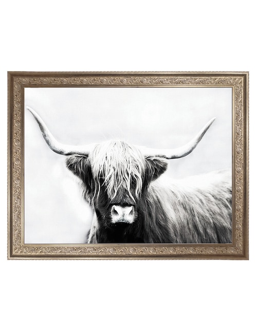 Cuadro decorativo Longhorn de las tierras altas de Danita Delimont técnica mixta Cuadros Jr