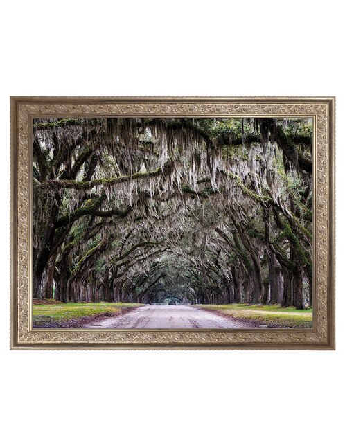 Cuadro decorativo Callejón Wormsloe de Andy Crawford técnica mixta Cuadros Jr