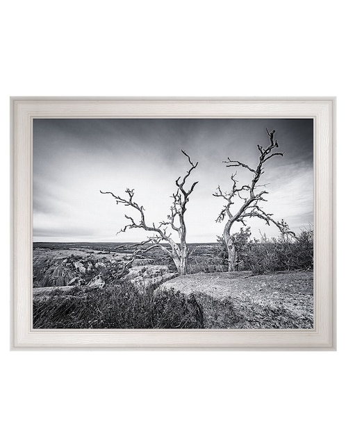Cuadro decorativo Vista encantada de Andy Crawford técnica mixta Cuadros Jr