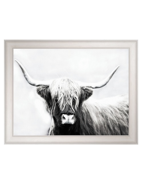 Cuadro decorativo Longhorn de las tierras altas de Danita Delimont técnica mixta Cuadros Jr