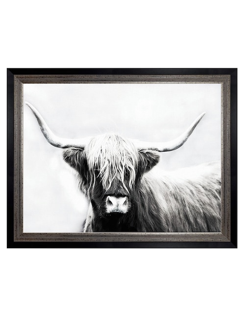 Cuadro decorativo Longhorn de las tierras altas de Danita Delimont técnica mixta 1
