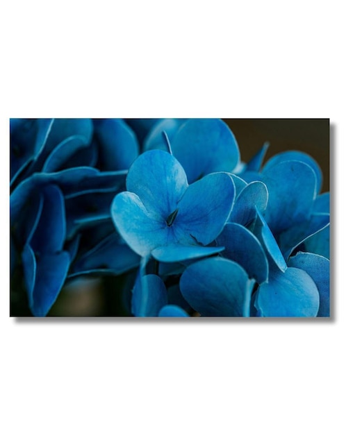 Cuadro decorativo Generica