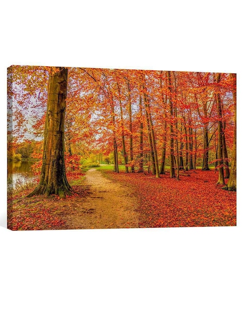 Fotografía Pixelarte Naturaleza