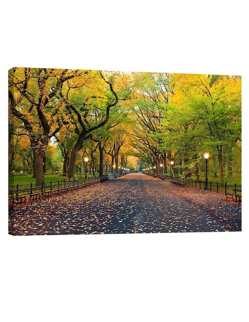 Cuadro decorativo Pixelarte Nueva York Central Park En Otoño