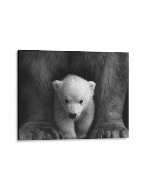 Imagen de producto Litografía Canvas Lab Principios del Oso Polar técnica Impresión