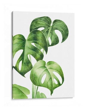 Litografía Canvas Lab Monstera Deliciosa técnica Impresión