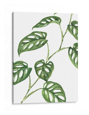 Litografía Canvas Lab Monstera Adansonii Técnica Impresión