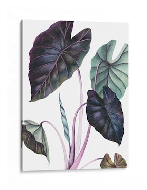 Litografía Canvas Lab Black Magic técnica Impresión