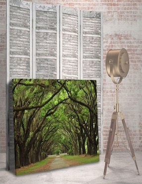 Cuadro Decorativo CanvasNaturaleza Antiguo Y Vereda Rectangular